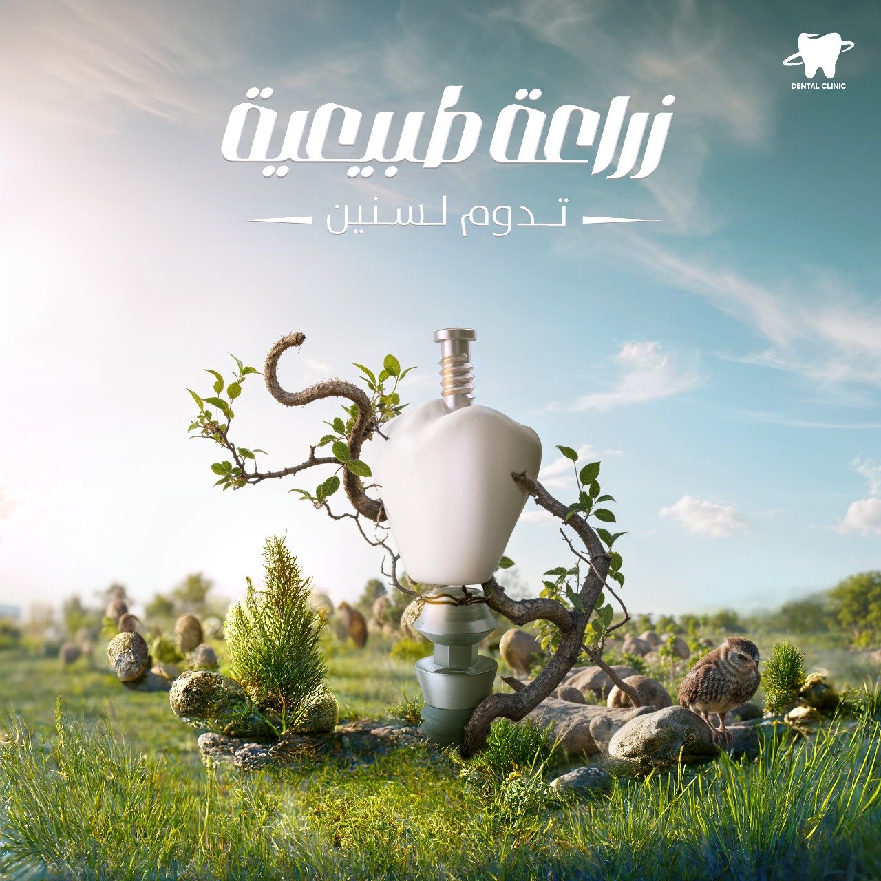 صورة واتساب بتاريخ 2025-01-05 في 12.16.24_586e2b0d