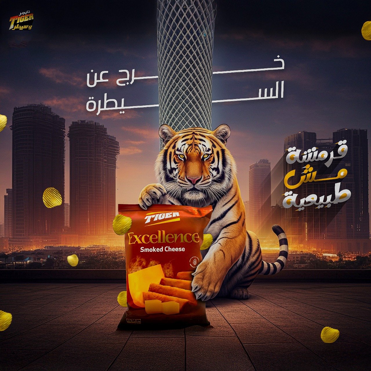 صورة واتساب بتاريخ 2025-01-06 في 09.42.33_c93f20ab